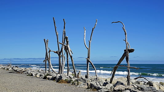 Hokitika beach, kusten, stranden, Nya Zeeland, Sydön, havet, trä