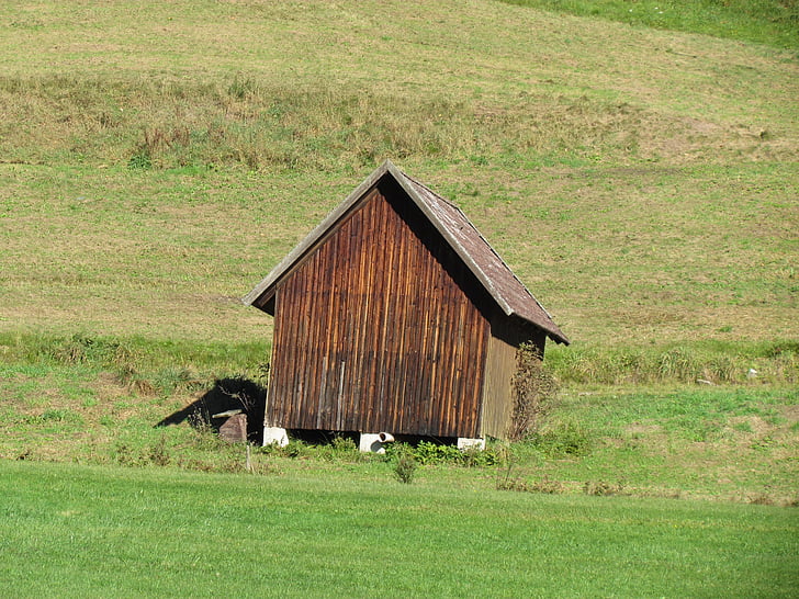 Hut, Meadow, vallée de l’argile, Baiersbronn, forêt-noire, nature, Bodnar