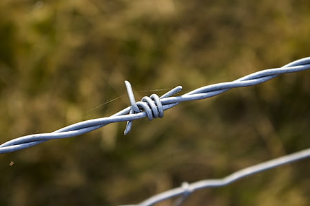 sting, wire, fence, prickly, wiring, wire fence, pointed