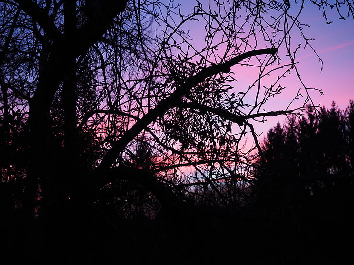 afterglow, evening, abendstimmung, sunset, evening sky, sky, red