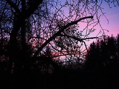 Afterglow, kveld, abendstimmung, solnedgang, kveldshimmelen, himmelen, rød
