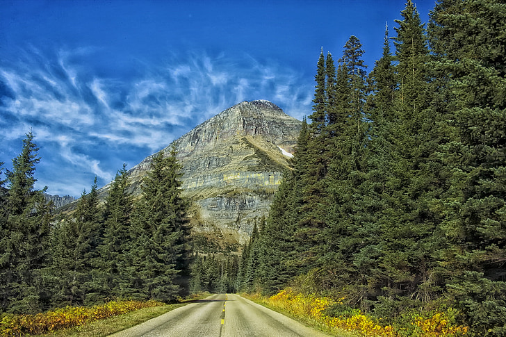 Parque Nacional Glacier, Montana, paisagem, cênica, floresta, árvores, estrada