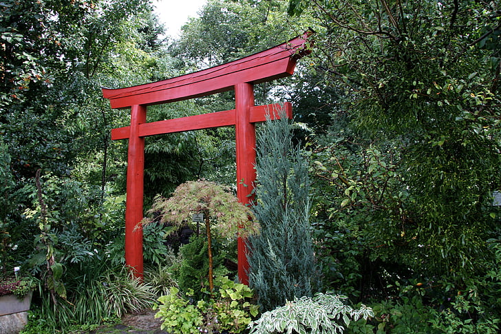 Japanilainen Puutarha, torii, Puutarha, Flora, vihreä, kasvi, Luonto
