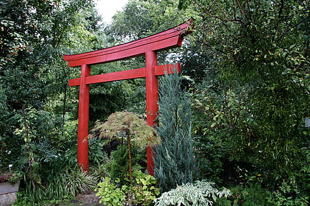 japansk trädgård, Torii, trädgård, Flora, grön, Anläggningen, naturen