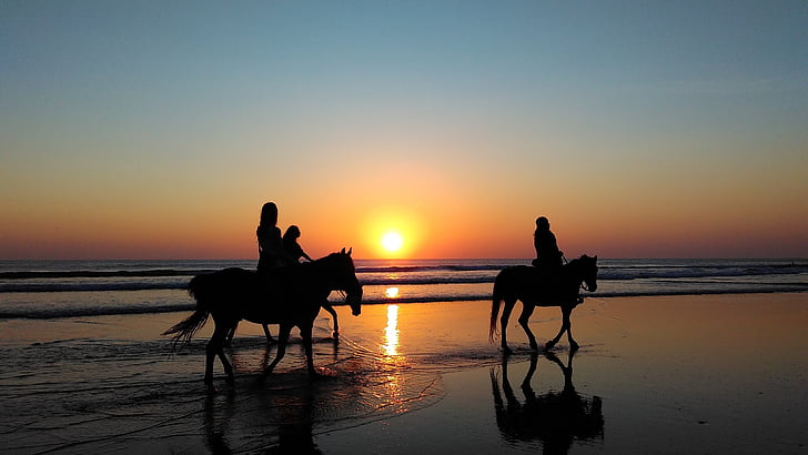 mořské pobřeží, pláž, západu slunce, silueta, koně, jízda na koni, dovolená