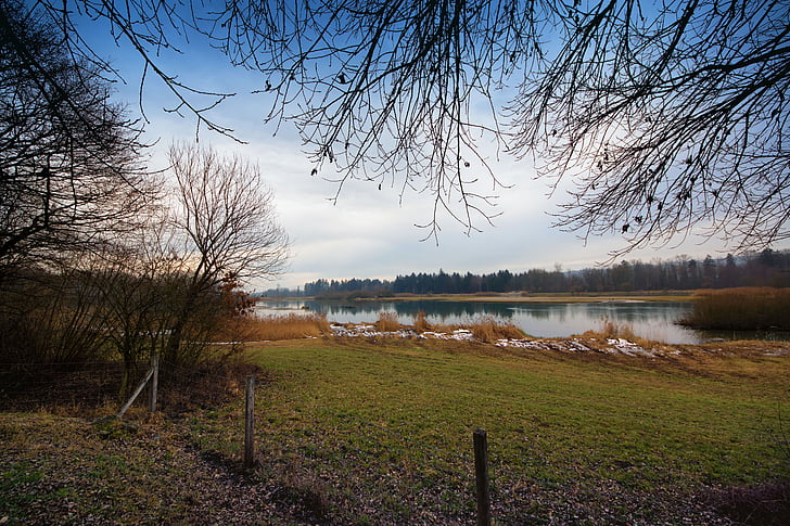 flachsee, bảo tồn thiên nhiên, Thiên nhiên, Lake, cây, mùa thu, nước