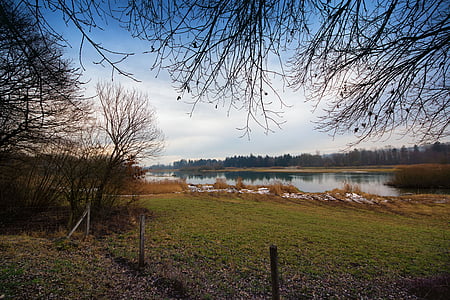 flachsee, опазване на природата, природата, езеро, дърво, Есен, вода