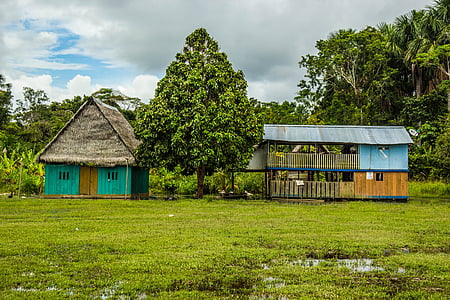nature, house, sky, green, trees, wood - Material, hut