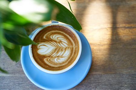 kaffe, latte, brun, Foto, fotografering, bakgrund, kaffekopp