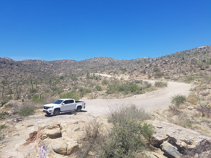 φορτηγό, βουνό, εκτός δρόμου, έρημο, Saguaro, Αριζόνα, δρόμος