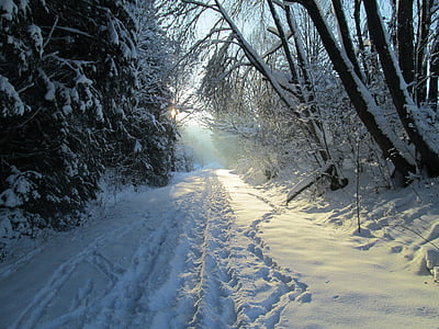enero, invierno forma, invierno de Allgäu
