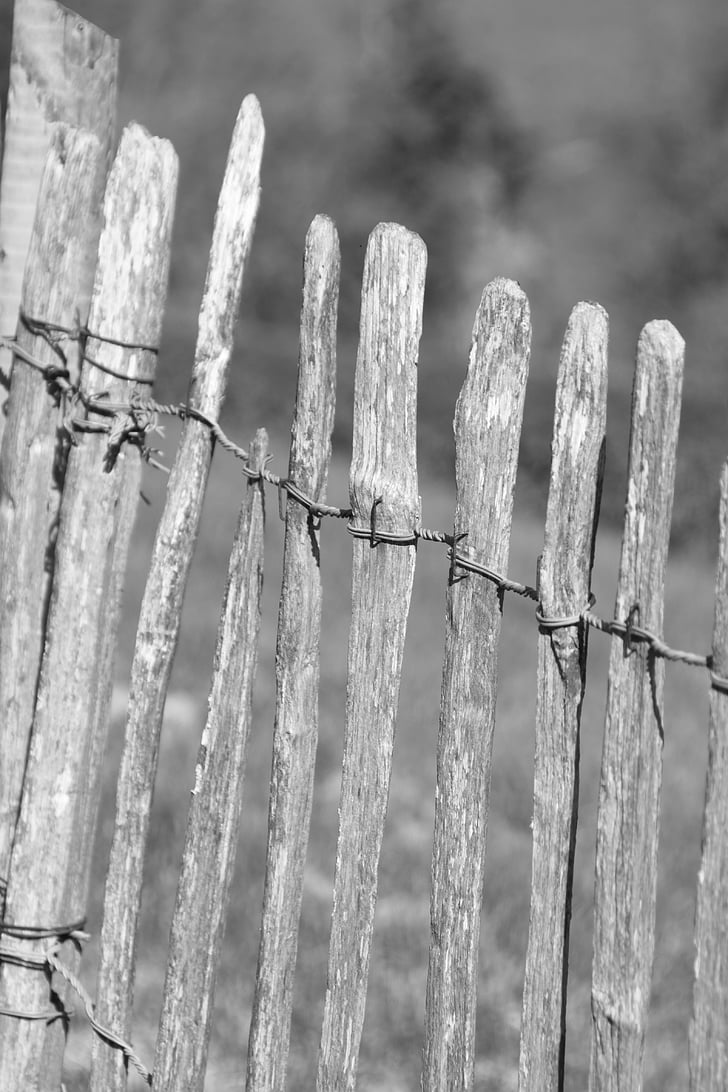 black and white, fence, wooden, gate, white, black, texture