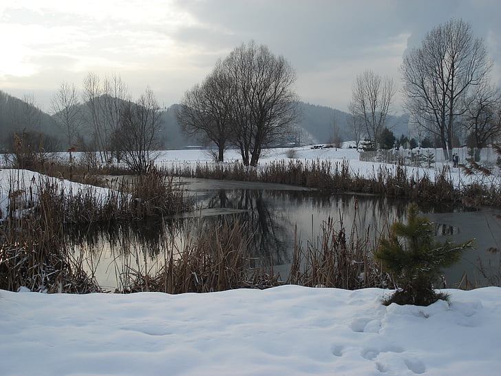 vinter, sjön, naturen, snö, landskap, vatten