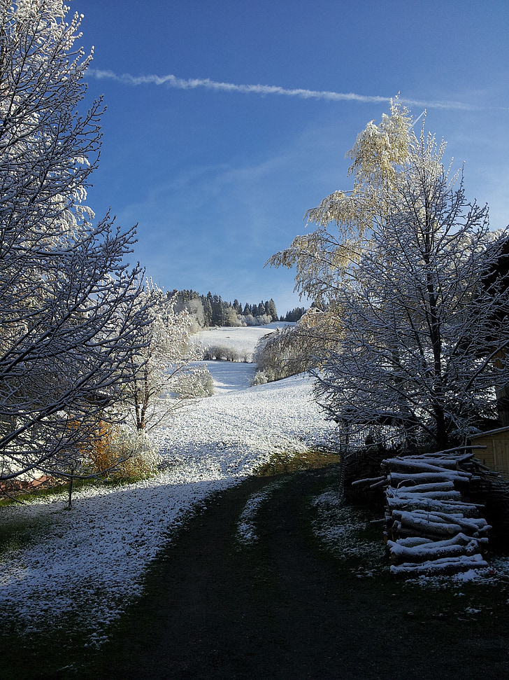 téli, téli, hó, fehér, hideg, Snow magic, Tirol