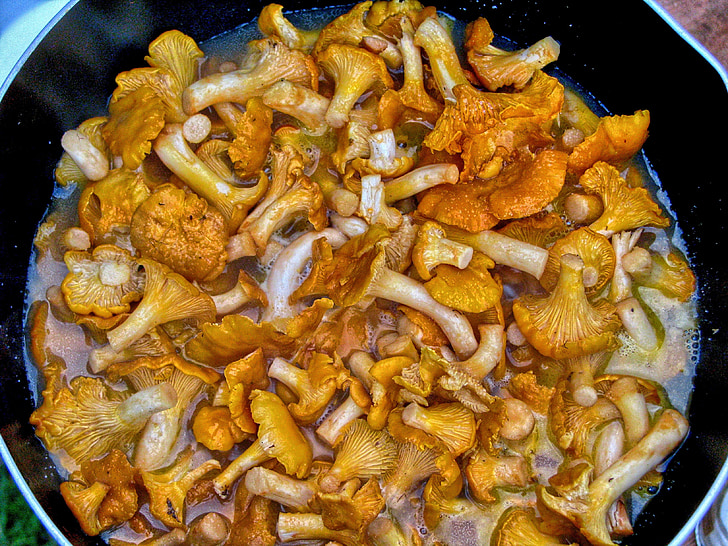 mushrooms, cocks, cooking, eating, frying pan