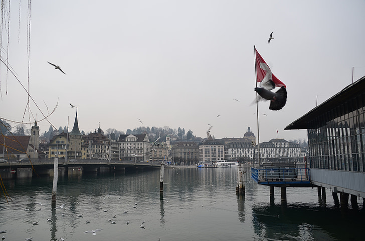 švicarski, dok, vode, Luzern, jezero, arhitektura, Skyline