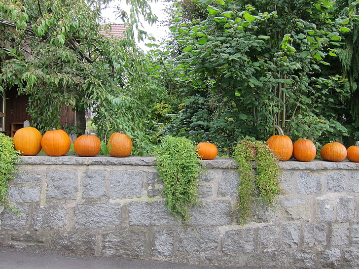 abóbora, dia das bruxas, abóbora de Halloween, Outubro, Outono, comida, decoração