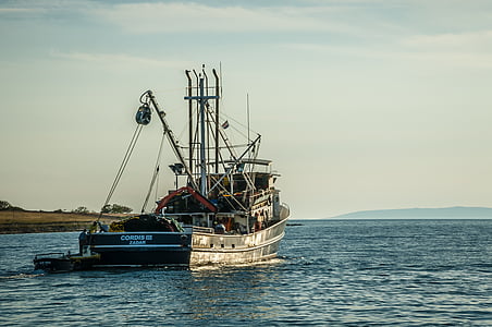 fishing boat, fish, fishing, schiffer boat, phased out, shipping, sea