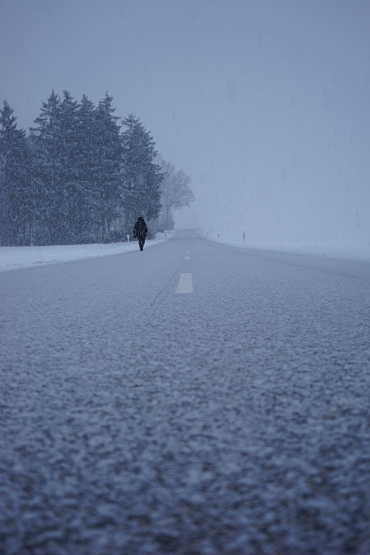 Blizzard, cesti, pot domov, sam, dopust, hladno, oseba