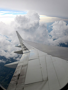 niebo, latać, samolot, lotu, podróż, rejs, chmury