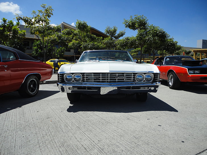 Chevrolet, carro, vintage, clássico, automóvel, Automático, retrô