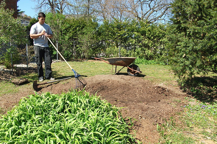 lawn restoration, gardening, horticulture, seeding lawn