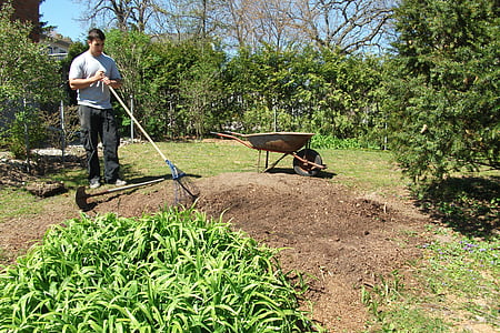 Rasen-Restaurierung, Gartenarbeit, Gartenbau, Aussaat von Rasen