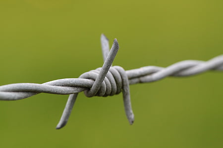 fil de fer barbelé, pointé, fil, risque, clôture, Metal, Thorn
