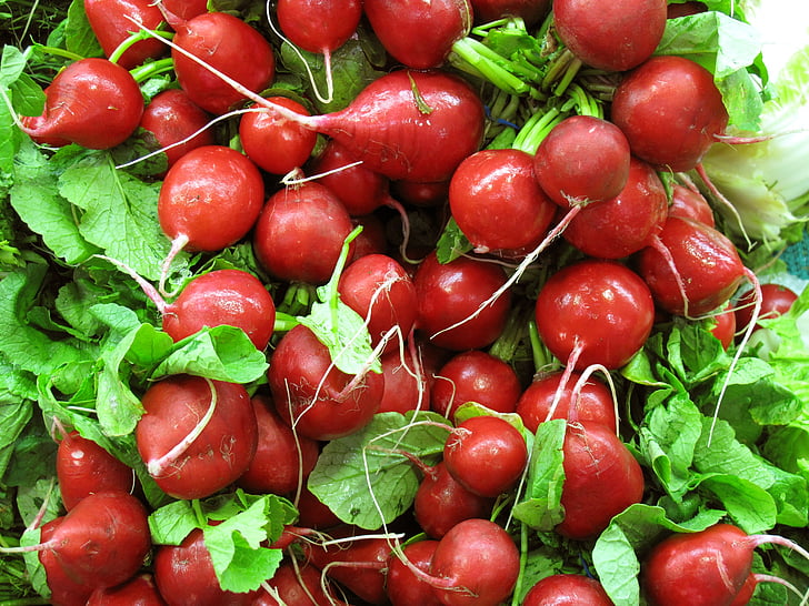 red radish, vegetable, salad
