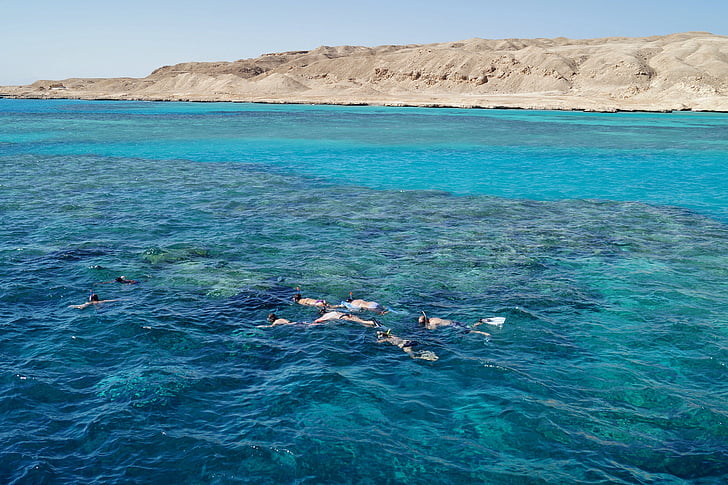 Αίγυπτος, Ερυθρά θάλασσα, στη θάλασσα, καταδύσεις, Κολύμβηση με αναπνευστήρα, νησί, κοραλλιογενής ύφαλος