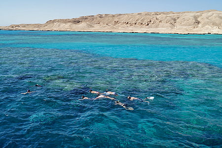 Egipte, el mar Roig, Mar, Submarinisme, Immersió lleugera, illa, escull de corall