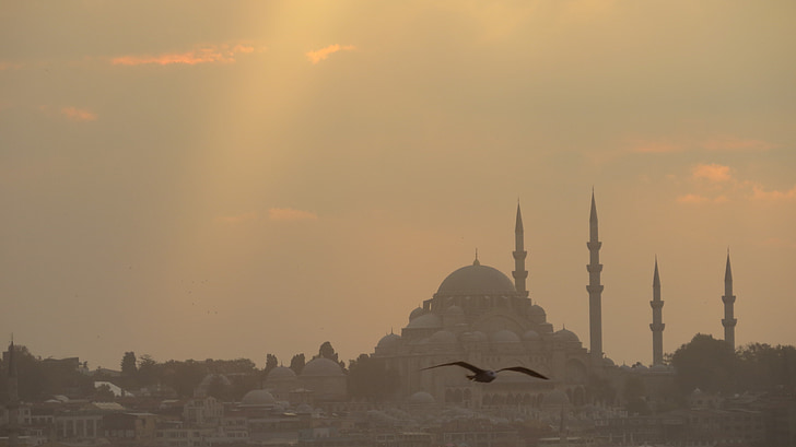 vell, antiga, històric, Istanbul, posta de sol, Turquia, Mesquita
