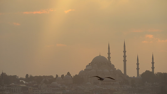 gamla, antika, historiska, Istanbul, solnedgång, Turkiet, moskén
