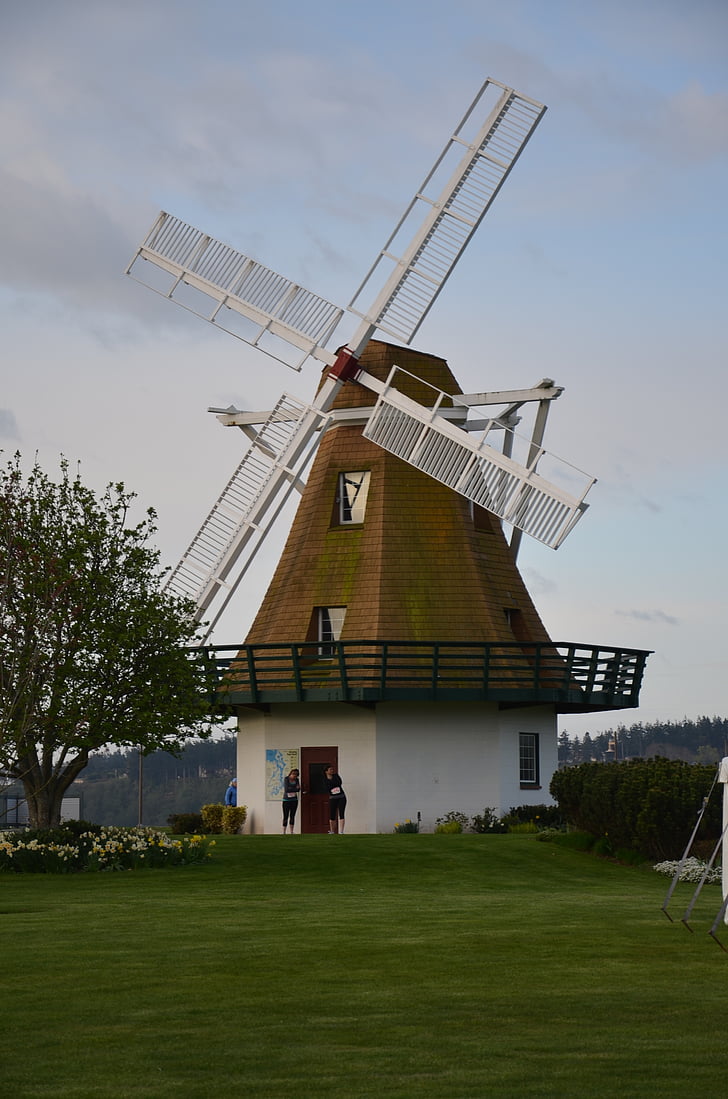Molí de vent, l'aire lliure, herba, rural, paisatge, neerlandès, cultura