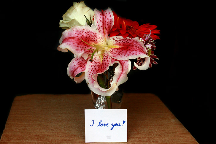 ziedi, ziņojums, es tevi mīlu, mīlu, puķe