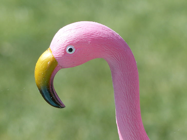 paukštis, flamingas, plastikas, vasaros, sodas, rožinė
