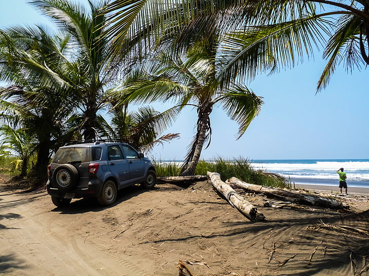 Costa Rica, palmeiras, praia, mar, trópicos, América Central, tropical