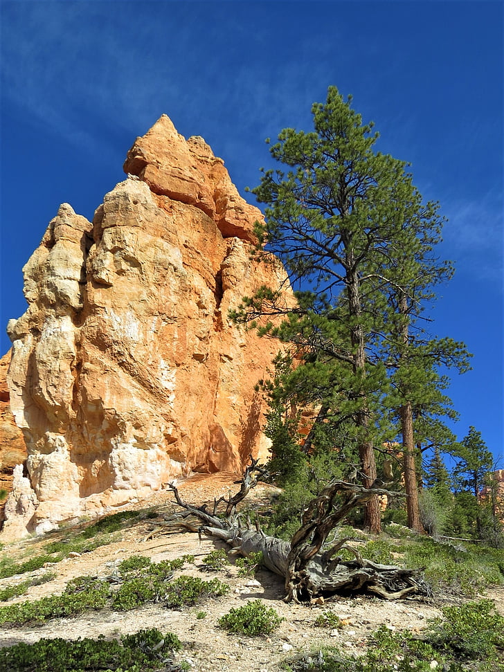 bryce canyon, hiking, orange, national, park