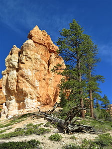 Bryce canyon, Hiking, Orange, Nasional, Taman