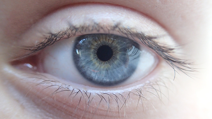 oko, modrých očí, buľvy, žiak