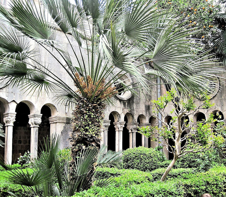 dubrovnic croatia, court yard garden, arches, outdoors, palm trees