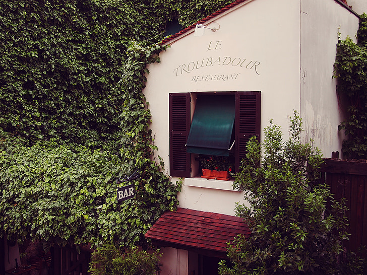 Le troubadour, Ресторан, Франция, лозы, листья, окно, жалюзи