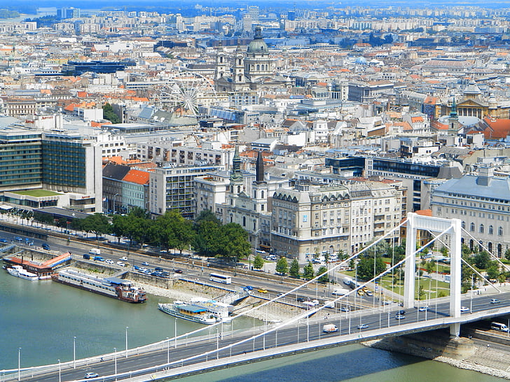 Scape, Budapest, Ungern, byggnader, Elizabeth bridge, staden, arkitektur