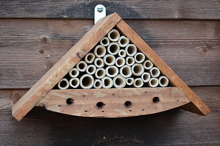 casa insecte, abella, fulla, tallador, casa, bambú, insecte