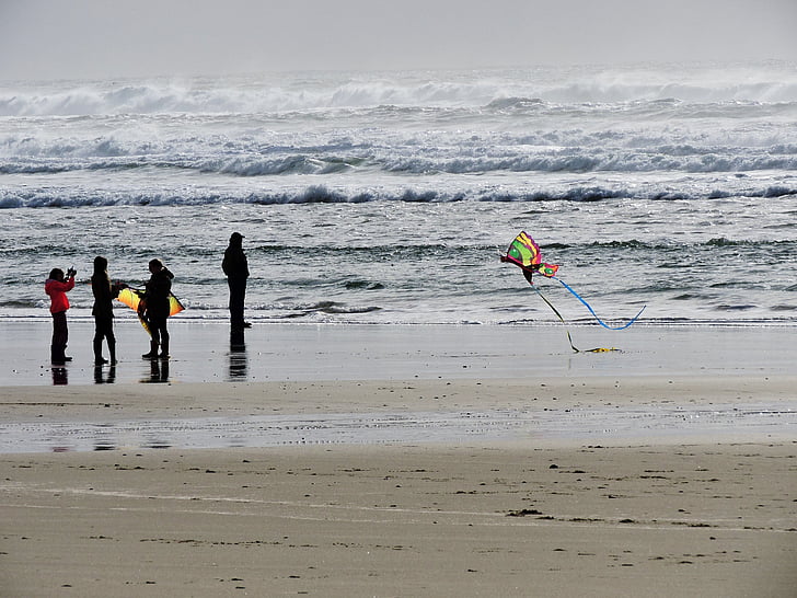 beach, kite, kite flying, fun, flying, sand, coast