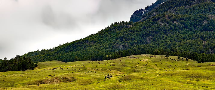 Panorama, ainava, Scenic, kalni, HDR, Jeloustonas nacionālais parks, Wyoming