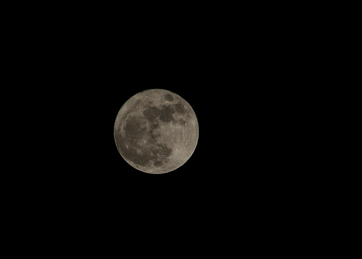 supermoon, Moonstruck, lyse månen, natt, svart, grå