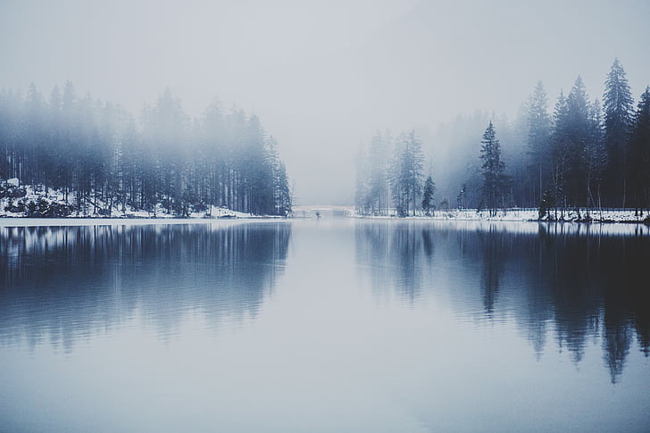 śnieg, pokryte, drzewa, w pobliżu, ciało, wody, Jezioro