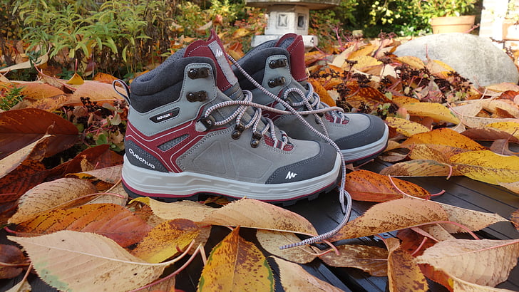 shoe, walking shoes, autumn, season, autumn leaves, sportive, hiking