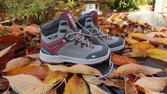 cipela, cipele za hodanje, jesen, Sezona, jesenje lišće, sportski, planinarenje